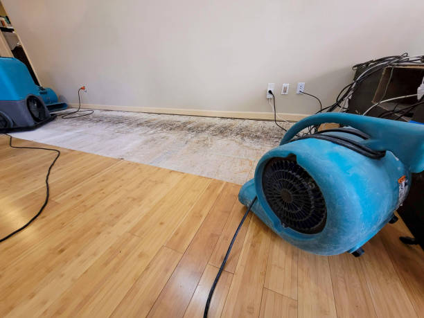 Reliable Basement Flood Cleanup contractor in Conway, MA by Hirex Water Damage