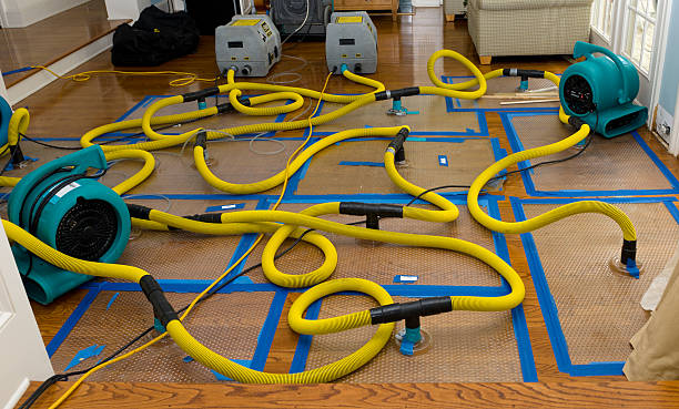 Professional Basement Flood Cleanup technician working in Conway, MA